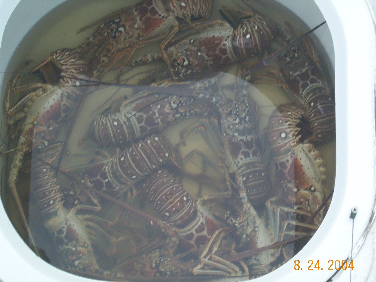 DCP_0710.JPG