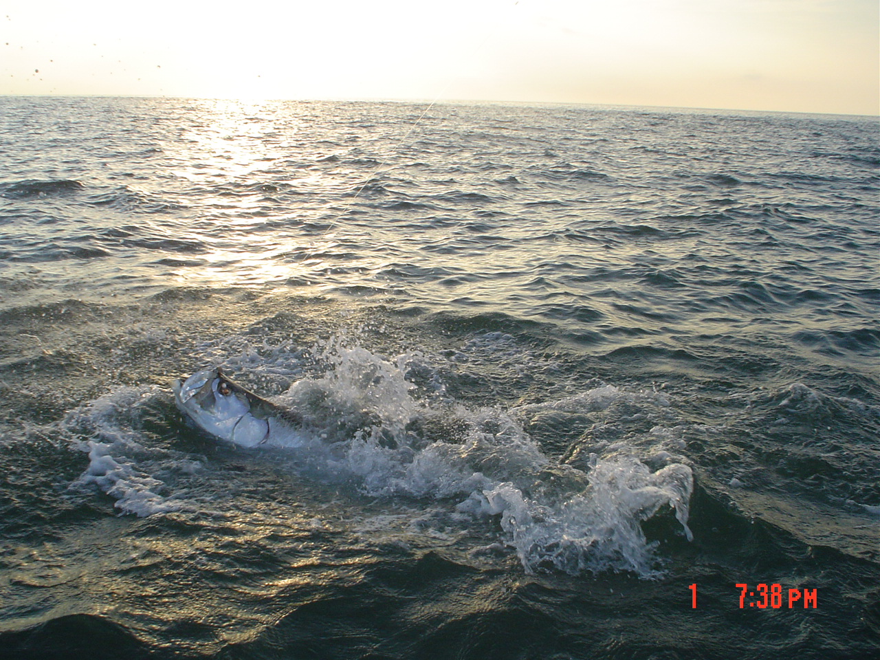 Greg_Tarpon_Fishing_7.1.07_001__9_.jpg