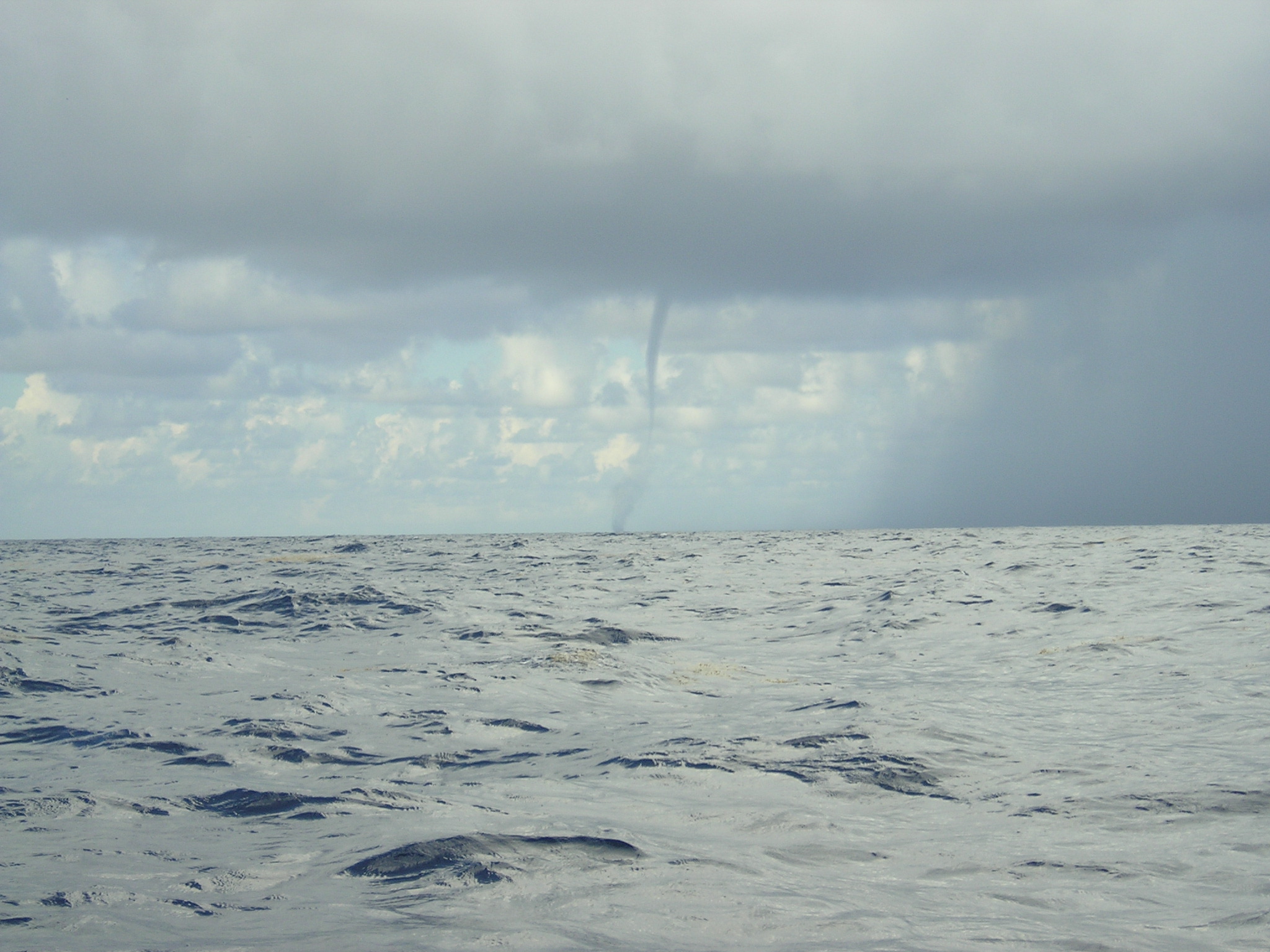 Picture_021.jpg