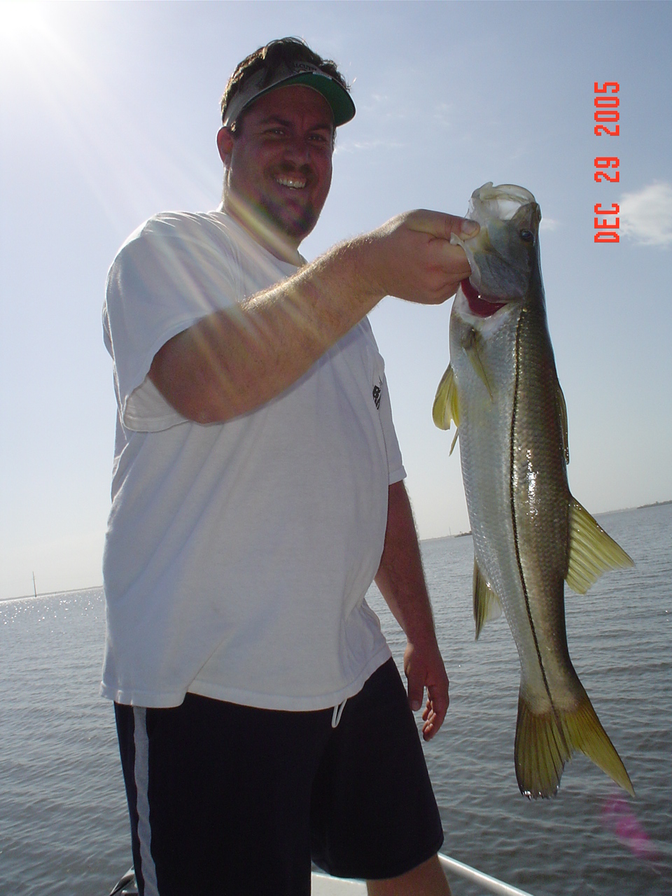 Picture_030.jpg