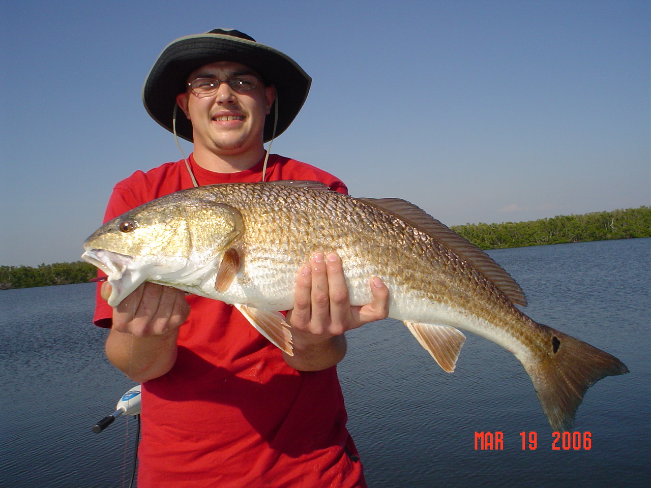 Picture_043.jpg