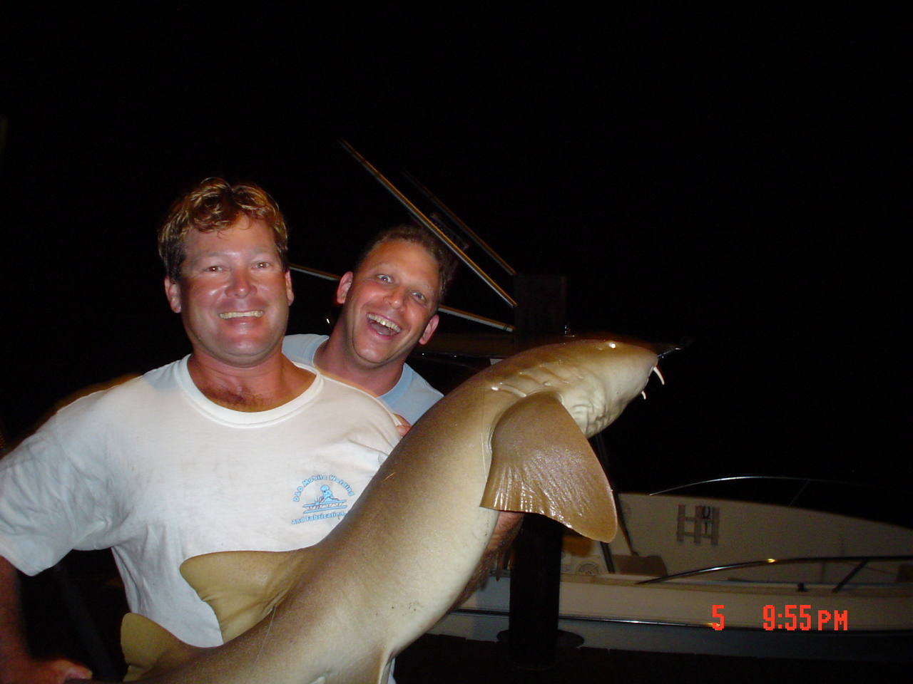 Picture_112.jpg