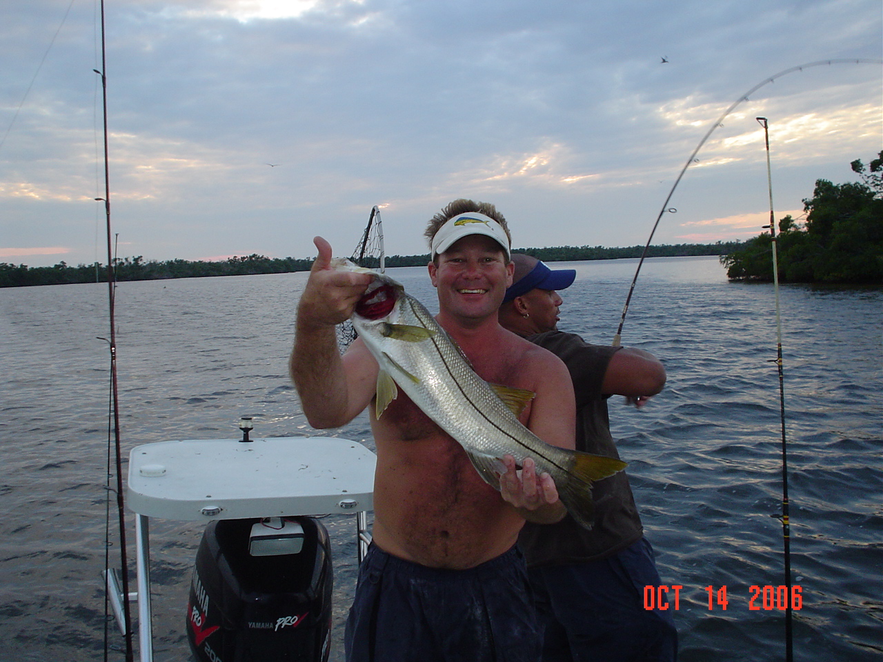 Picture_108.jpg