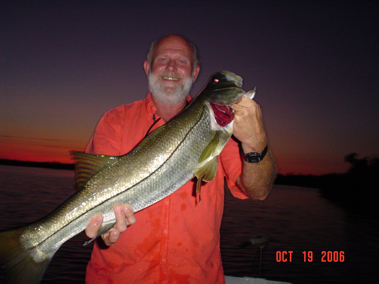 Picture_112.jpg